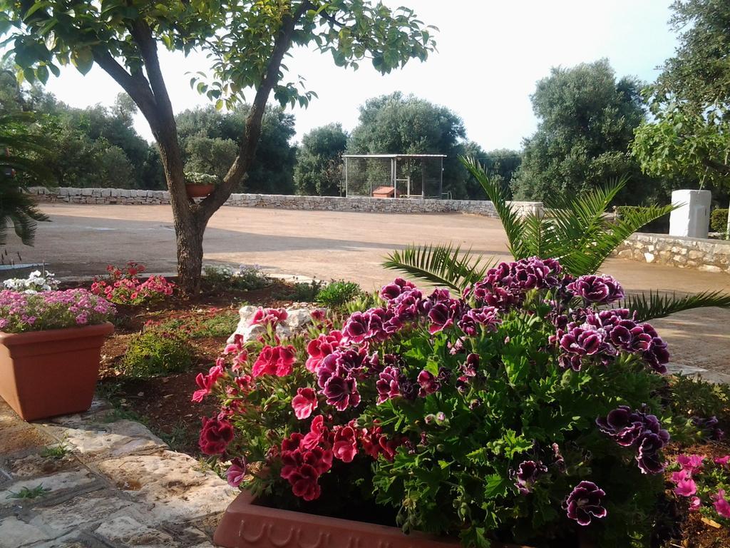 דירות פאסאנו La Collina Degli Ulivi מראה חיצוני תמונה