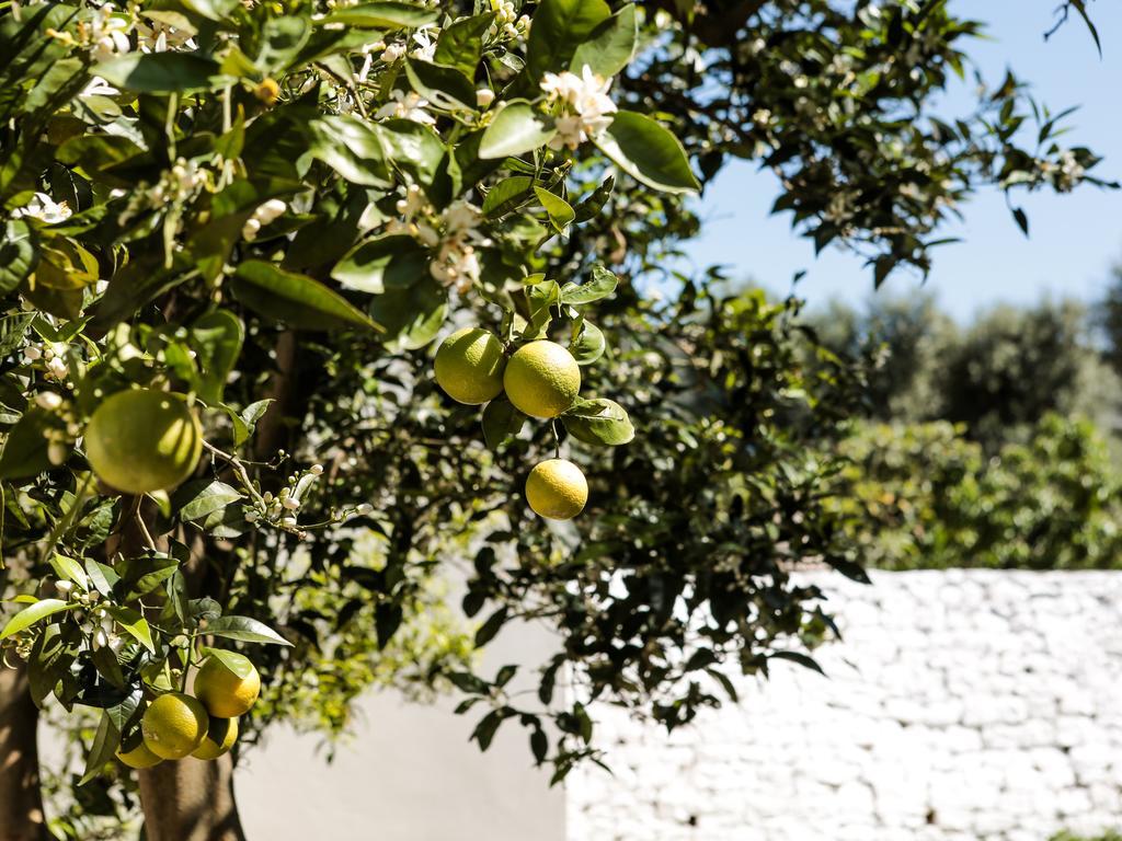 דירות פאסאנו La Collina Degli Ulivi מראה חיצוני תמונה