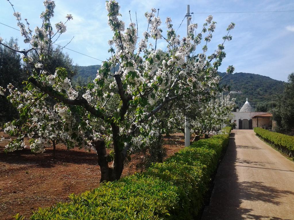 דירות פאסאנו La Collina Degli Ulivi מראה חיצוני תמונה