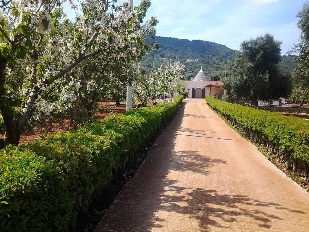 דירות פאסאנו La Collina Degli Ulivi מראה חיצוני תמונה