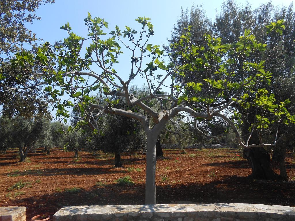 דירות פאסאנו La Collina Degli Ulivi מראה חיצוני תמונה