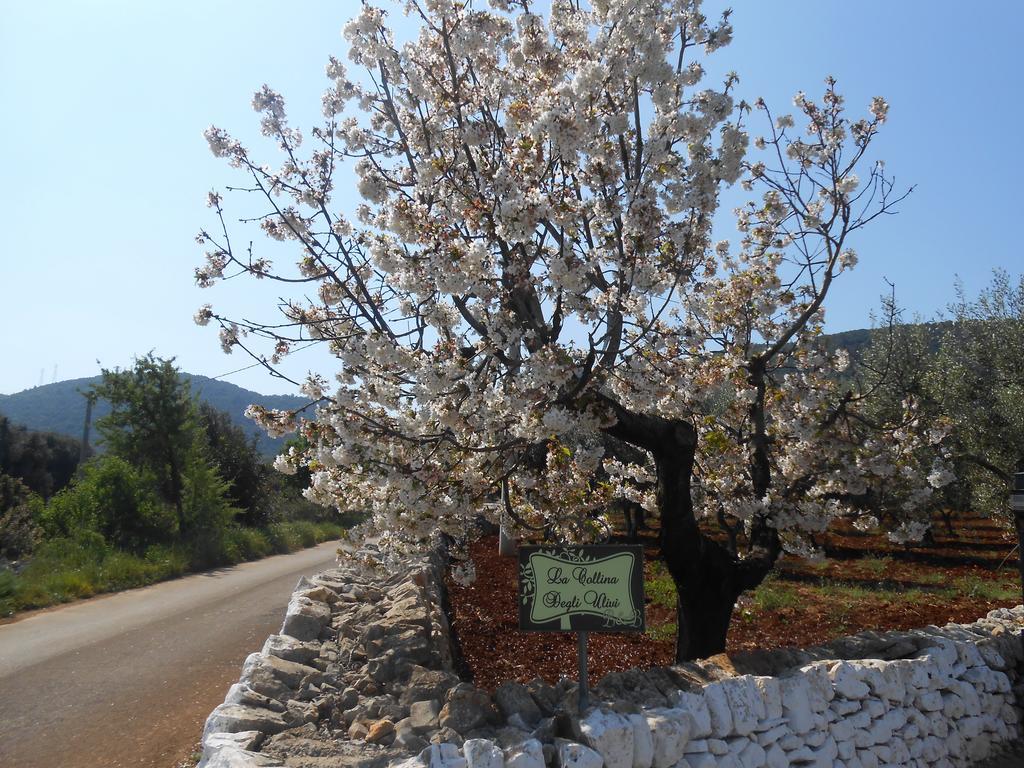 דירות פאסאנו La Collina Degli Ulivi מראה חיצוני תמונה