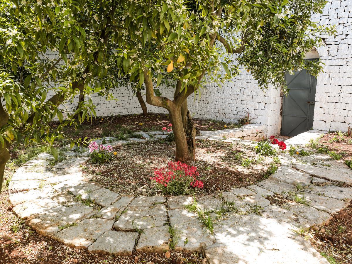 דירות פאסאנו La Collina Degli Ulivi מראה חיצוני תמונה